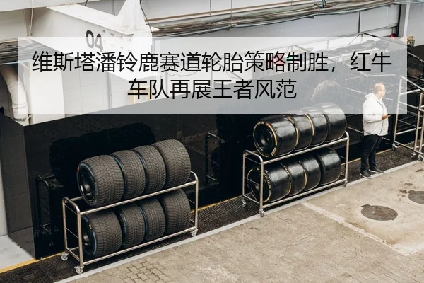 wei-si-ta-pan-ling-lu-sai-dao-lun-tai-ce-lve-zhi-sheng-hong-niu-che-dui-zai-zhan-wang-zhe-feng-fan-3-689.jpg