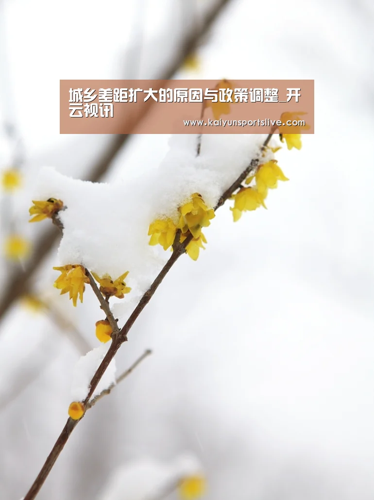 开云平台