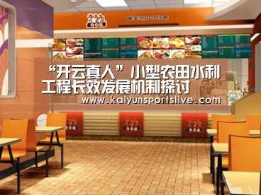 “开云真人”小型农田水利工程长效发展机制探讨
