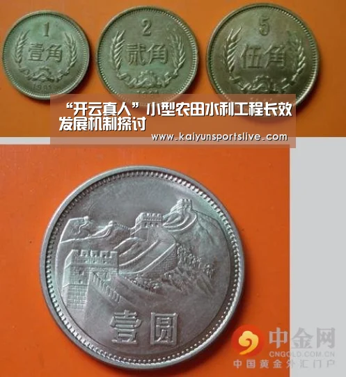 开云真人
