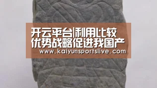 开云平台|利用比较优势战略促进我国产业升级