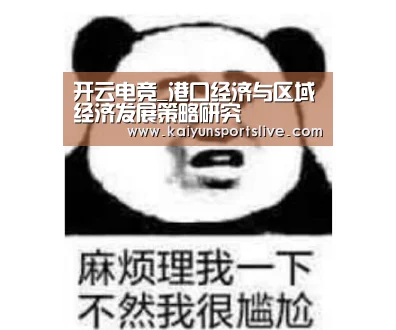 开云电竞_港口经济与区域经济发展策略研究